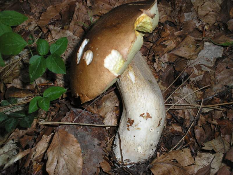 grazie allo sciopero....